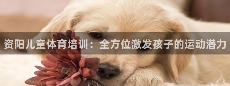 极悦平台：资阳儿童体育培训：全方位激发孩子的运动潜力