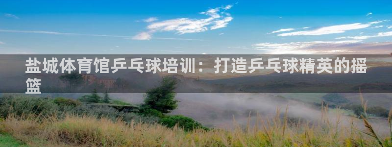 极悦平台官方网站首页入口：盐城体育馆乒乓球培训：打造