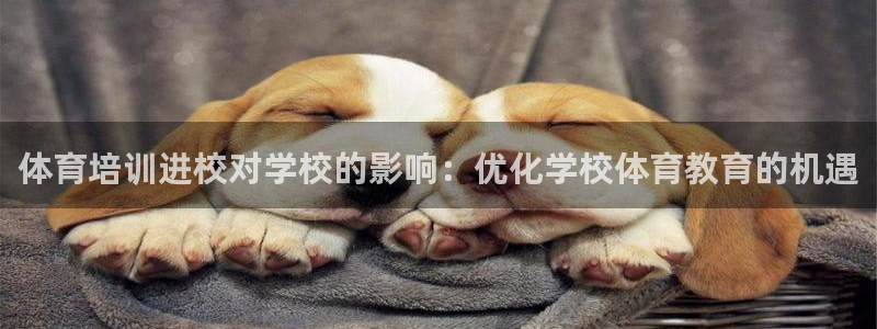 加盟极悦教育怎么样：体育培训进校对学校的影响：优化学