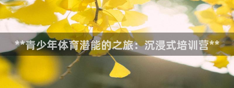 极悦平台官网登录不了了：**青少年体育潜能的之旅：沉