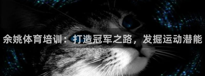 极悦官方网站：余姚体育培训：打造冠军之路，发掘运动潜
