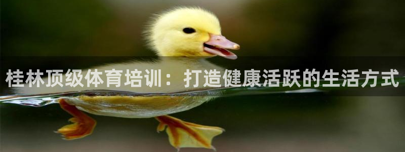 极悦官方网站app下载软件：桂林顶级体育培训：打造健