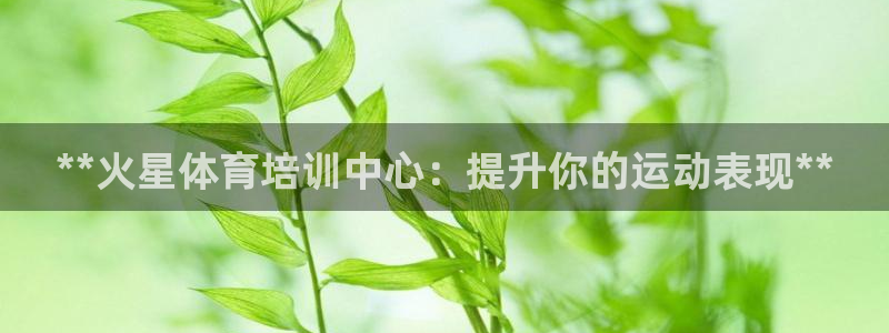 极悦官网首页登录入口网址：**火星体育培训中心：提升