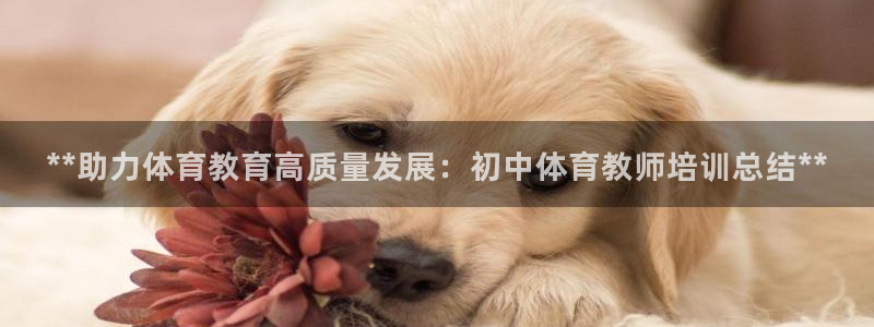 极悦平台官网入口：**助力体育教育高质量发展：初中体