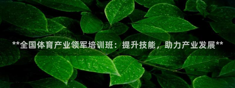 极悦娱乐登录网站每天的工作内容：**全国体育产业领军