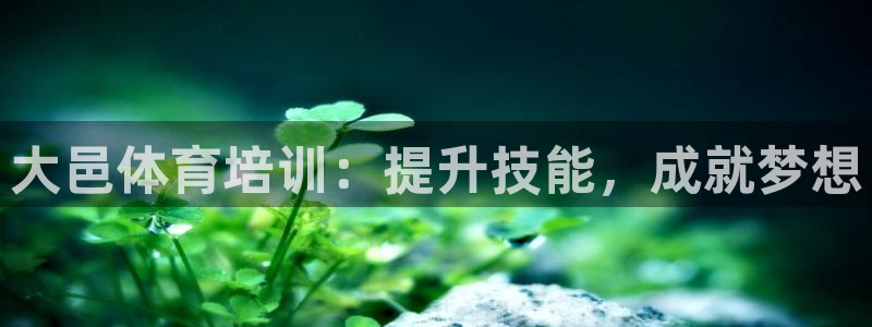 极悦娱乐代理多少钱一个月：大邑体育培训：提升技能，成