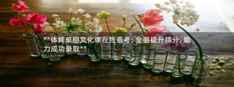 极悦平台平台登录入口：**体育单招文化课在线备考: 