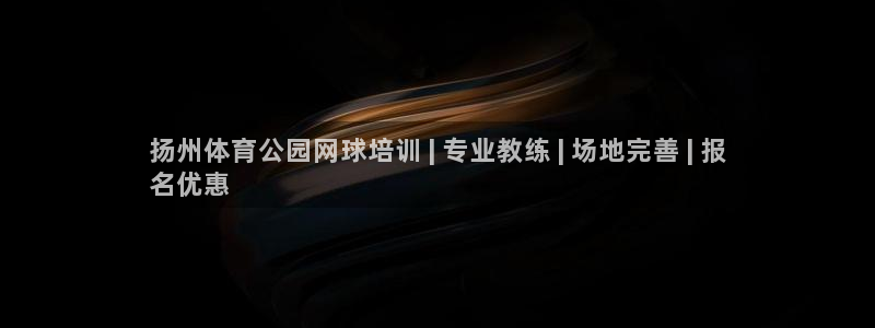 极悦平台登录最新版本更新内容在哪：扬州体育公园网球培