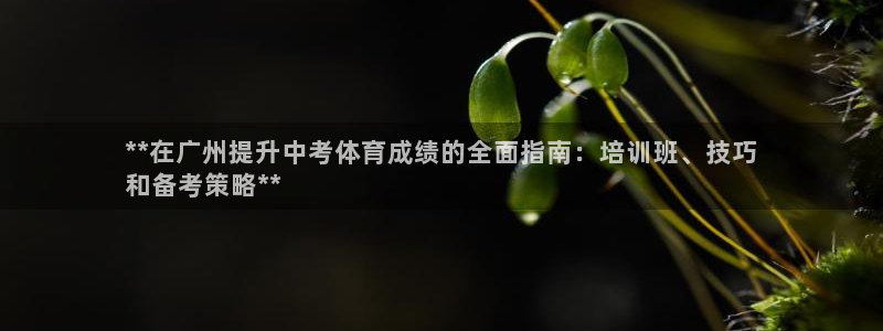 极悦平台的注册流程及注意事项：**在广州提升中考体育
