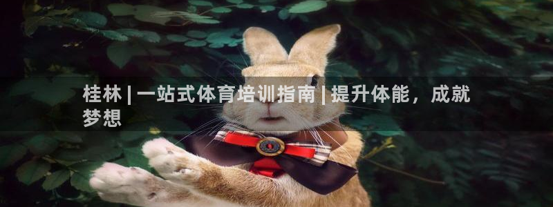 极悦平台官网登录不了了：桂林 | 一站式体育培训指南