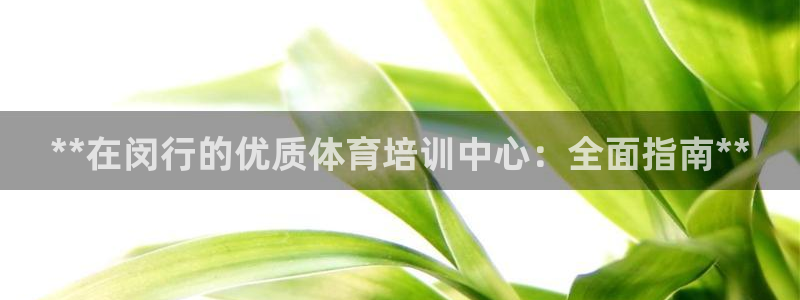 极悦娱乐负责人：**在闵行的优质体育培训中心：全面指