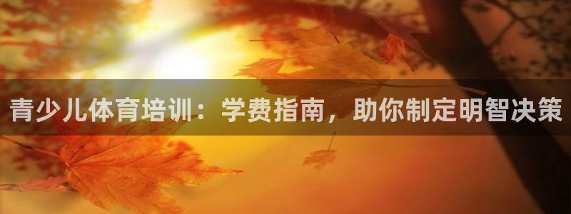 极悦平台与网易合作详情在哪：青少儿体育培训：学费指南