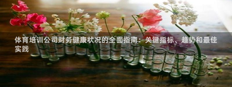 极悦娱乐下载官网安装：体育培训公司财务健康状况的全面指南：关
