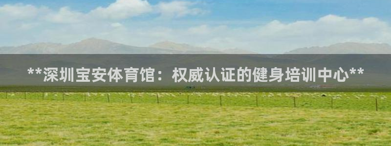 极悦娱乐代理多少钱一年：**深圳宝安体育馆：权威认证