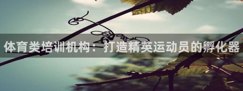极悦平台是正规平台吗安全吗：体育类培训机构：打造精英