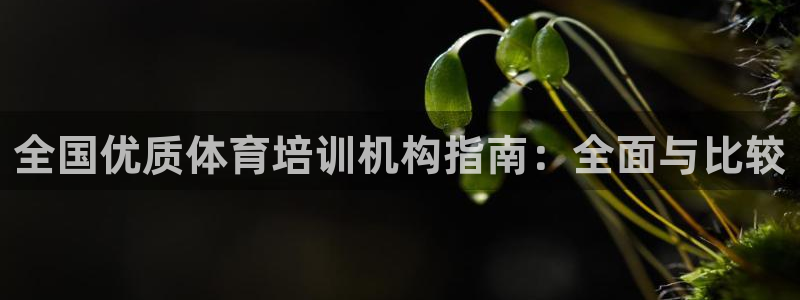 极悦娱乐创始人背景故事：全国优质体育培训机构指南：全