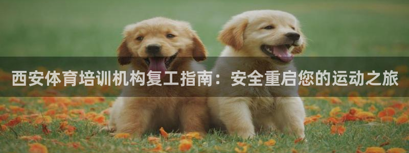 极悦平台是什么：西安体育培训机构复工指南：安全重启您