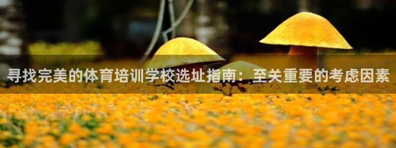 极悦娱乐官网最新版本更新内容下载：寻找完美的体育培训