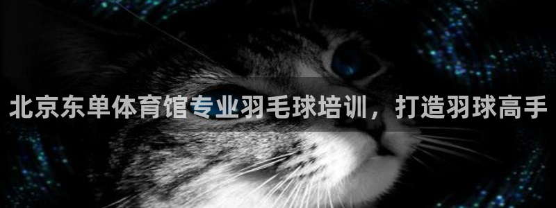 极悦平台官方网站入口链接手机：北京东单体育馆专业羽毛