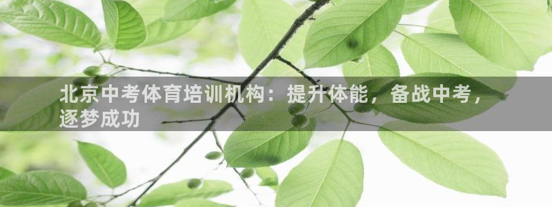 极悦平台注册流程图：北京中考体育培训机构：提升体能，
