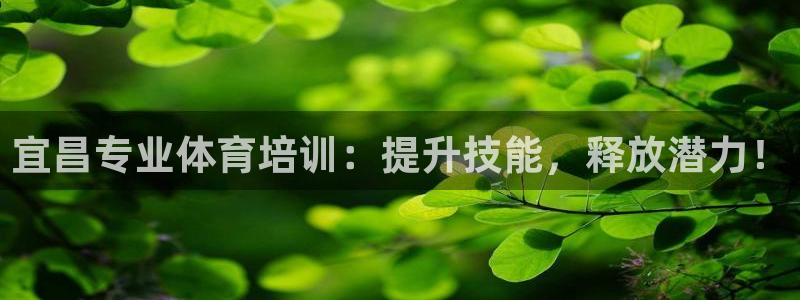 深圳极悦文化传媒有限公司：宜昌专业体育培训：提升技能