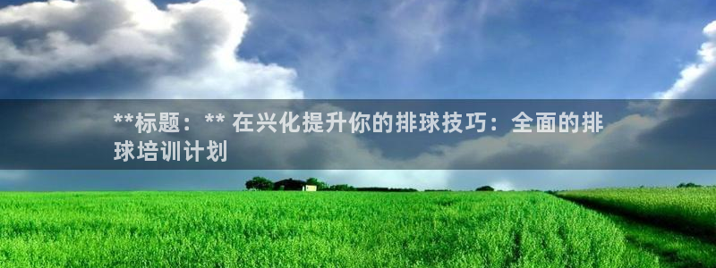极悦平台股东是谁：**标题：** 在兴化提升你的排球