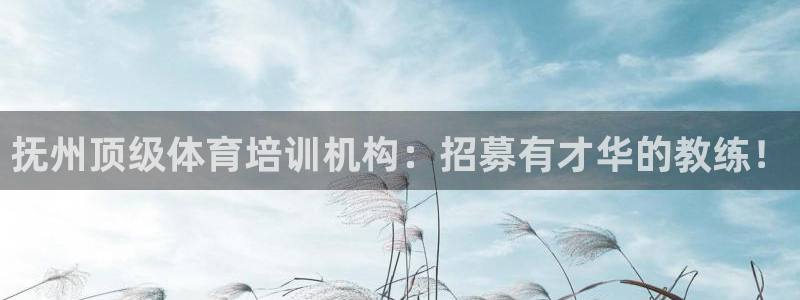 极悦平台客服的联系方式是多少：抚州顶级体育培训机构：