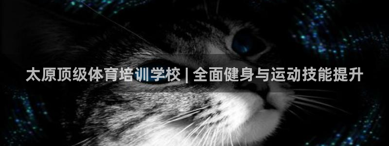 极悦娱乐官网入口下载：太原顶级体育培训学校 | 全面