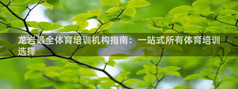 极悦平台使用教程：龙岩最全体育培训机构指南：一站式所