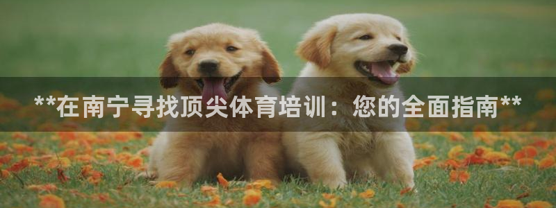 极悦官方网站app下载安装：**在南宁寻找顶尖体育培