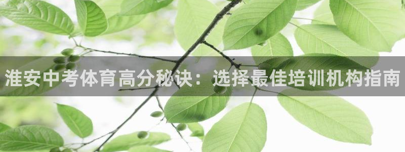 极悦官方网站入口网址：淮安中考体育高分秘诀：选择最佳