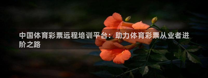 极悦娱乐负责人怎么样：中国体育彩票远程培训平台：助力