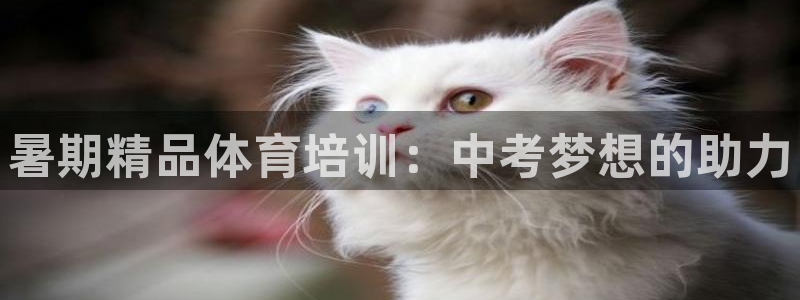 极悦平台用户评价