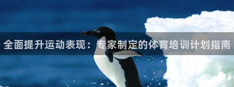 加盟极悦教育多少钱：全面提升运动表现：专家制定的体育
