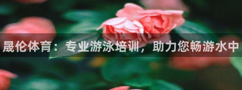 极悦娱乐：晟伦体育：专业游泳培训，助力您畅游水中