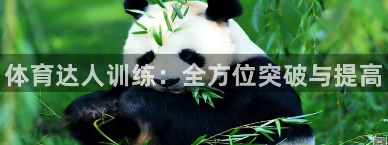 极悦娱乐官网最新版本更新内容：体育达人训练：全方位突