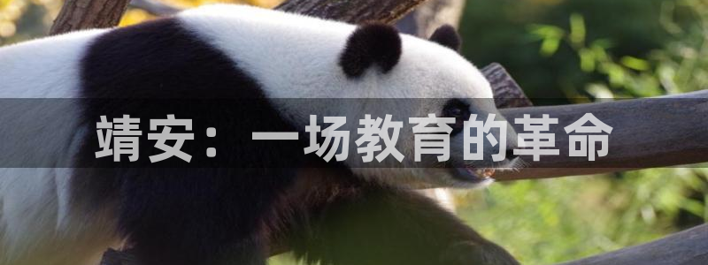 极悦平台官方网站是什么软件：靖安：一场教育的革命